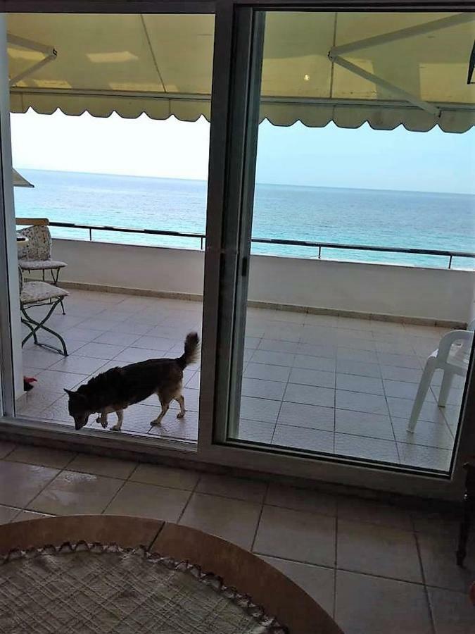 Seaside Beach House シビリ エクステリア 写真